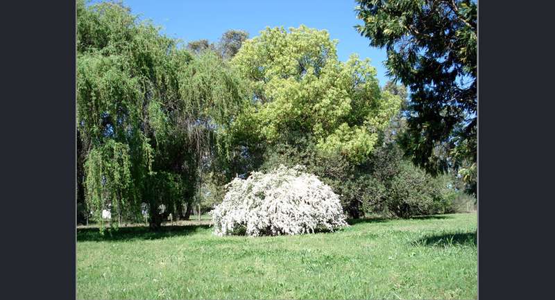 Quinta Las Margaritas