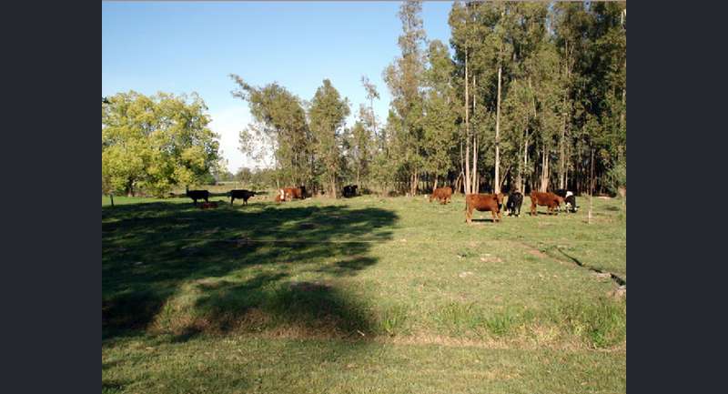 Quinta Las Margaritas