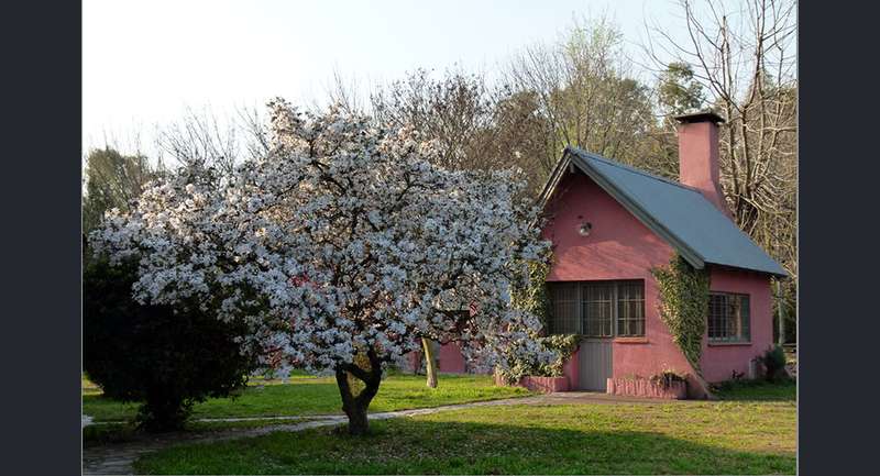 Quinta Las Margaritas