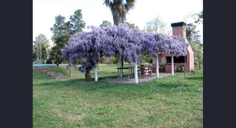 Quinta Las Margaritas