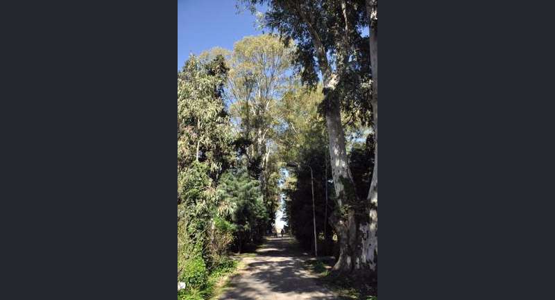 Quinta El Vergel