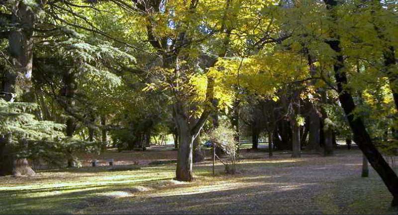 Quinta Segunda Generación