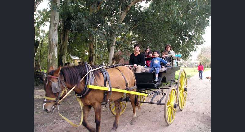 Granja Loma Verde