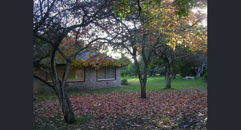 La Ernestina