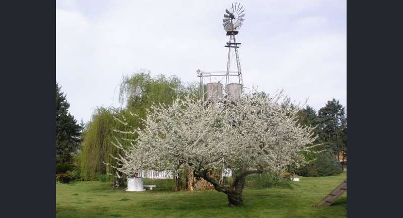 El Último Molino