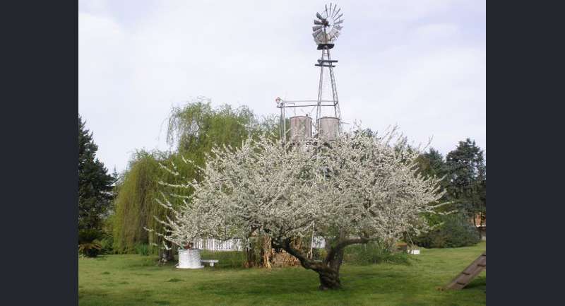 El Último Molino