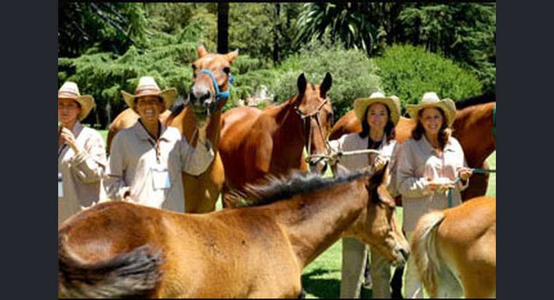 Estancia La Candelaria