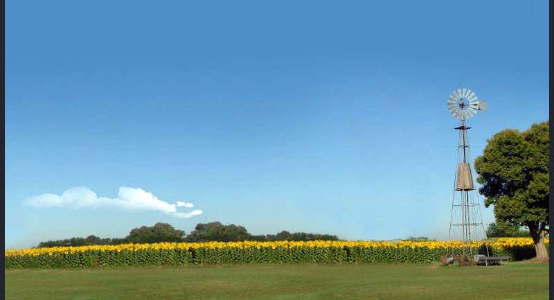 Estancia La Chichita