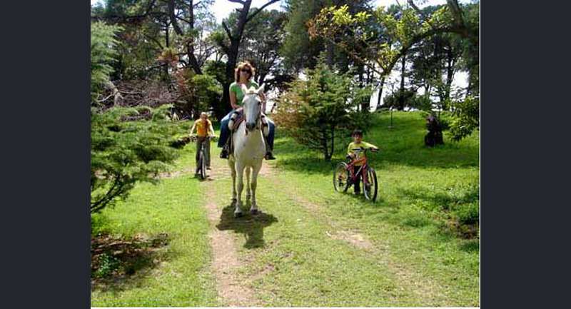 Estancia La Luisina