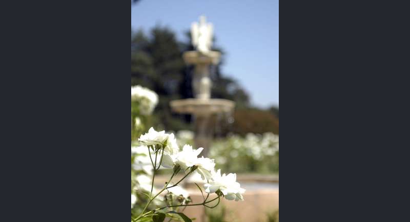 Estancia San Ceferino