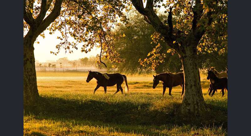 Estancia Villa María