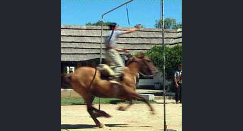 Estancia La Cinacina