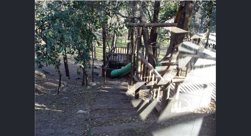 Bosque de Piedras