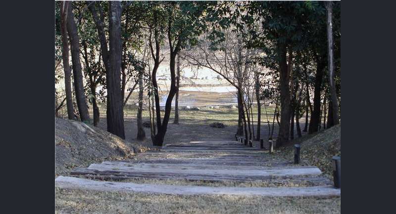 Bosque de Piedras