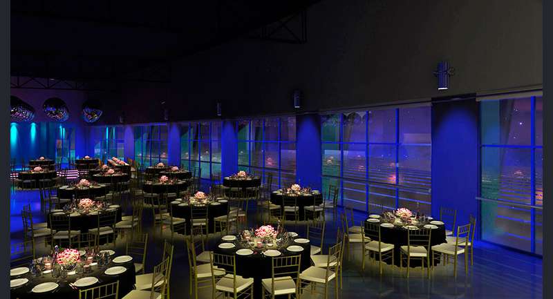 Tortugas Plaza Eventos