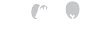 Dorrego